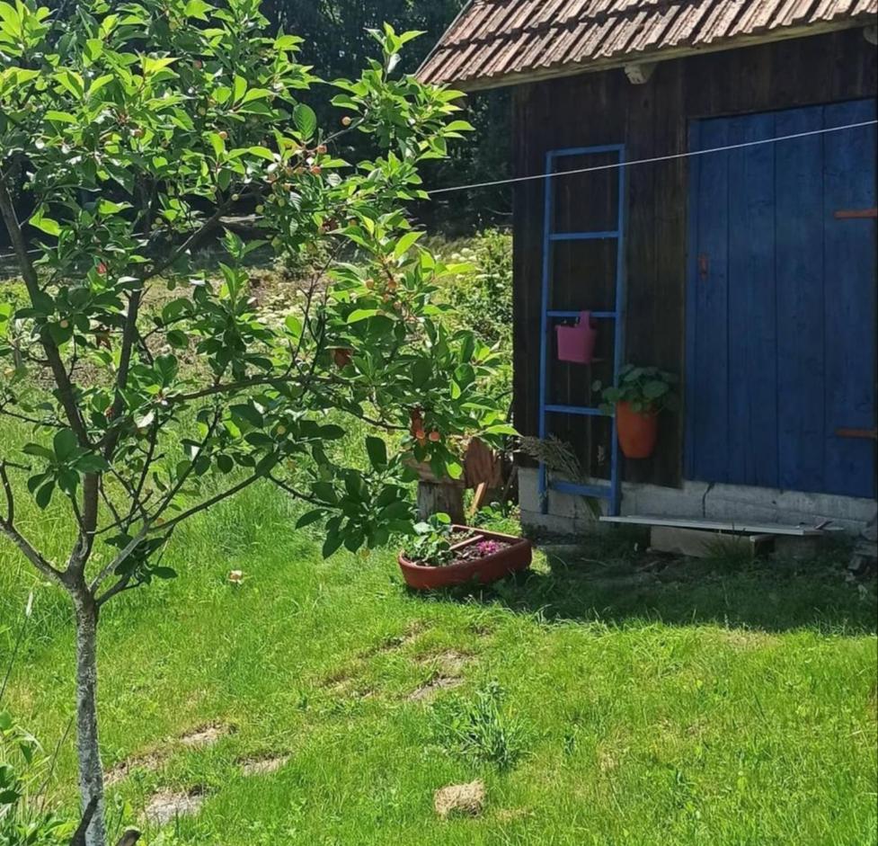 Kuca Despot Apartamento Kremna Exterior foto